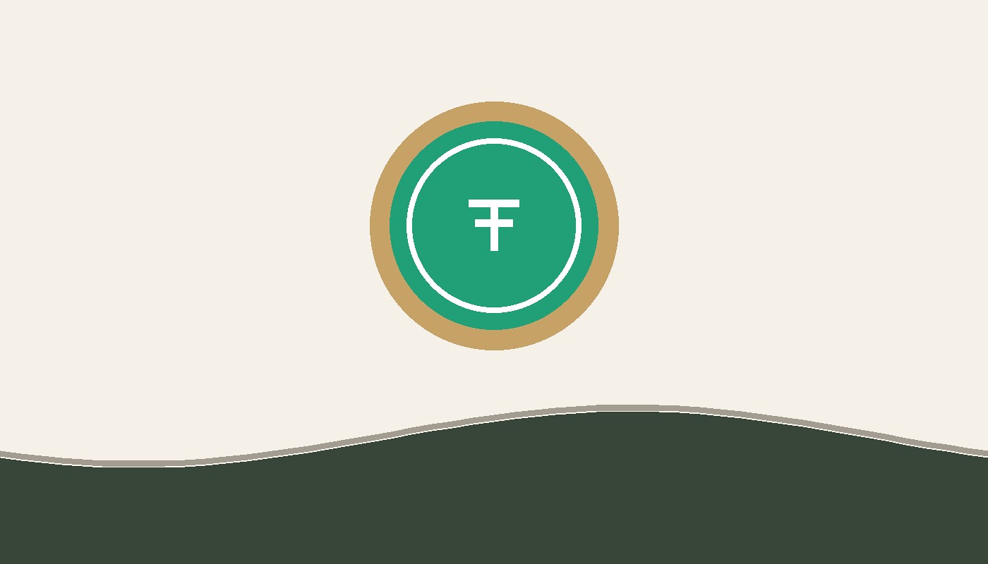USDT Flash Software Reviews: Frequently Asked Questions in South Africa