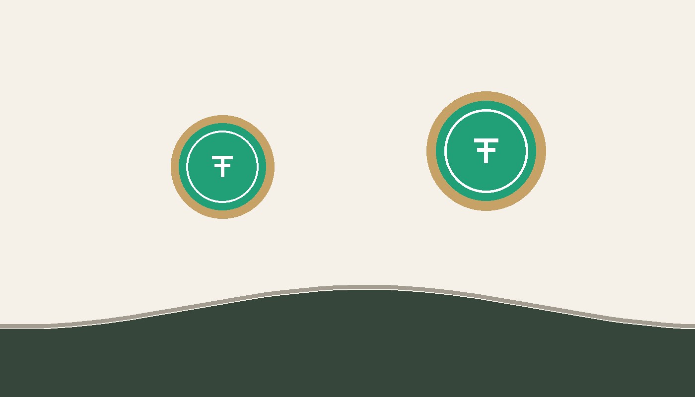 Flash USDT Generator